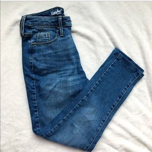 Blue Skinny Blue Jeans high Rise Tailored
